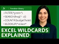 Searching in Excel Are You Using Wildcards Properly