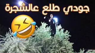 جودي ابوعيشة ولعت معاه    وطلع على الشجرة     شوف  الترند الجديد على طريقة جودي       نعلين دندنها