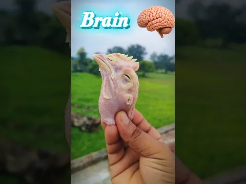 Chicken head and leg #comedy #mrgarhwaexperiment