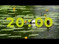 20 Minute Classroom Timer with LoFi Music Cute Duck Timer for Kids School