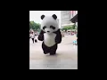 Download Lagu Panda lucu