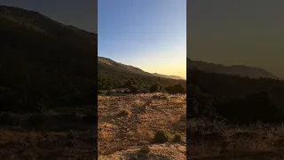 بدأت قناة شاوية و الغربة Shâwîya Wâ Lghorba بث ا مباشر ا مرحبا بكم ياجماعة الخير  بدأت قناة شاوية و الغربة Shâwîya Wâ Lghorba بث ا مباشر ا مرحبا بكم ياجماعة الخير