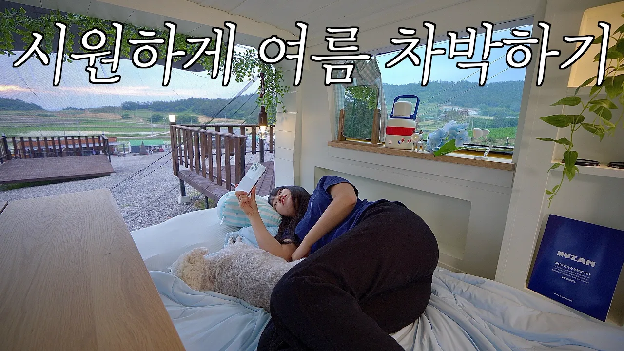 4900원짜리 자동차 모기장과 누잠 3종 세트로 시원하게 여름 차박하기 / 솔로 캠핑 /  전남 해남 다온캠핑장 サムネイル
