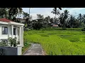 Download Lagu Megah mewah‼️super indah kampung tersembunyi di kaki gunung Bitung 