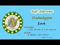 SQL Server L5 How to use the INT data type