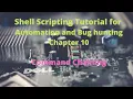 Shell Scripting for Automation and Bug Hunting Chapter 10 Command Chaining