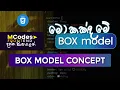 CSS Box Model Margin Border Padding Content Explained in Sinhala