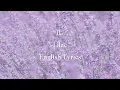 Download Lagu Lilac // IU English Lyrics