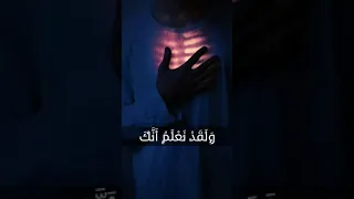 تلاوة مبدعة   بمقام السيكا   للقارئ الشيخ محمد الليثي   ولقد نعلم أنك يضيق صدرك      دندنها