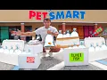 BUYING EVERY FISH from This PET STORE