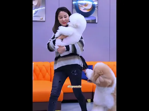 Todos dejaron de querer a este perro, excepto la abuela