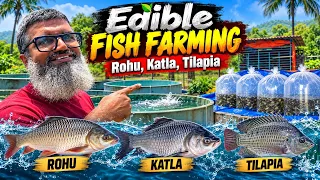 Edible Fish Farming in Maharashtra | Catla, Rohu, Tilapia & More | Hans Aquaculture, Kolad