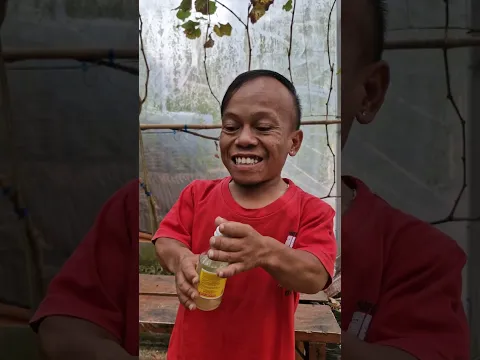 sketbor