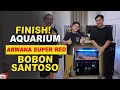 Download Lagu SETUP AKUARIUM ARWANA @BobonSantoso  PART 3 - HASILNYA BIKIN BOBON TERCENGANG!