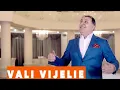 Download Lagu VALI VIJELIE - Nu suntem la fel (VIDEO OFICIAL 2015)