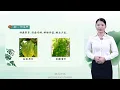 10 Identification and Control Technology of Homoptera