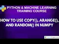 How to Use copy arange and random in NumPy