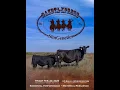 Dakota Xpress - Annual Simmental Bull Female Sale
