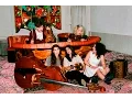 Download Lagu ALMA // Showcase * 57. Künstlerbörse Thun