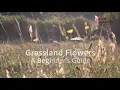 Download Lagu Wild Flower Identification - A Beginner’s Guide