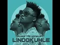 Mlindo The Vocalist - Impil'Imile (Official Audio) ft. Nue_Sam