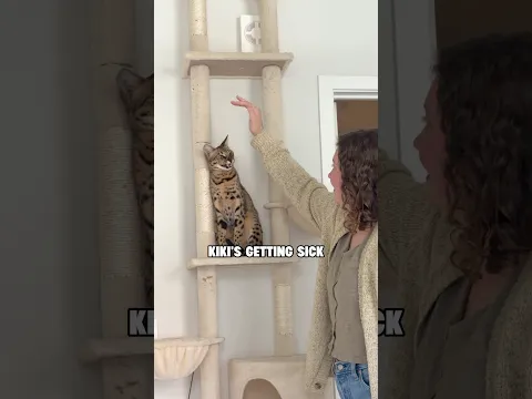She’s Over It