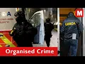 Over 100 Garda officers storm Dublin homes in massive crime raid with multiple arrests so far