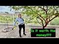 Ryobi ONE 18V Cordless Pole Saw worth it
