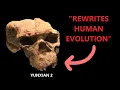 Download Lagu No, this New Fossil does NOT mean the Human Species is Over a Million Years Old.