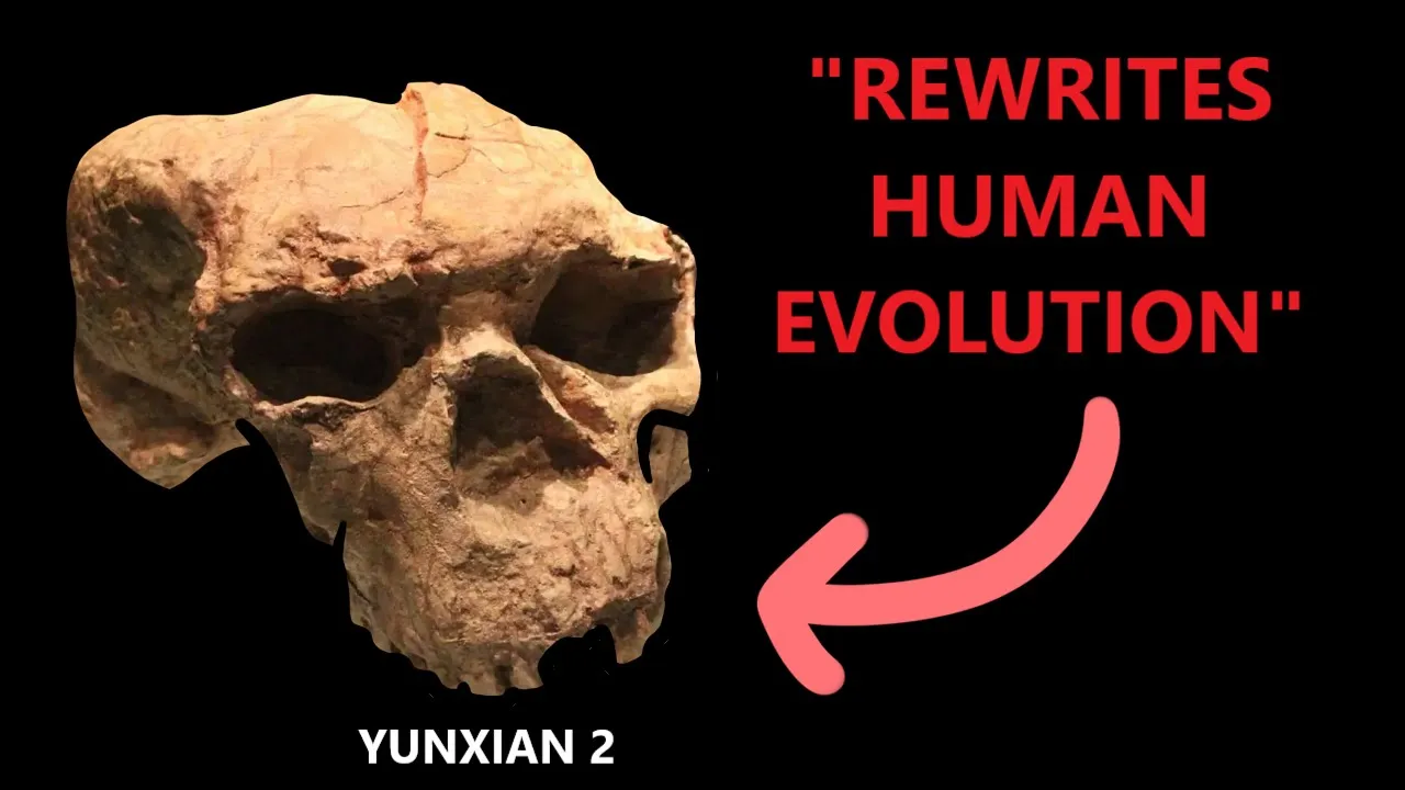 No, a New Fossil does NOT mean the Human Species is Over a Million Years Old | Yunxian 2 explained