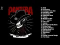 Download Lagu P A N T E R A Greatest Hits Full Album -  Best Songs Of P A N T E R A Playlist 2022