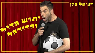 דניאל כהן יתוש גדול וכדורגל  דניאל כהן יתוש גדול וכדורגל