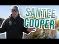 Santee Cooper Lake Fishing Report All Seasons Andy Montgomery