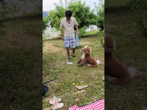 都已經這樣了 我帶兩個碗算了 - 寵物便攜兩用碗