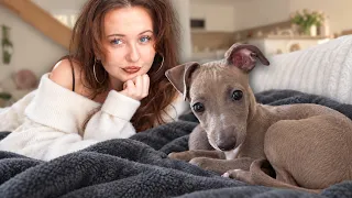 KÚPILI SME SI ŠTENIATKO 😍