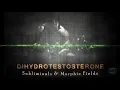 Download Lagu DHT - The Masculinity Hormone - Subliminals \u0026 Morphic Fields - (Dihydrotestosterone Release)