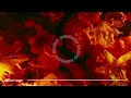 Lynnic, ItsArius, Courtney Storm - See My Soul