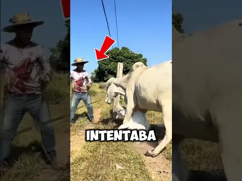 Pensó que dañaba a su cría, pero pasó esto 🥺