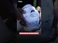 Exclusive Treatment