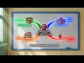 PREPOSITIONS of PLACE - Online English Course