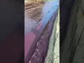 Download Lagu 2 million litres of red wine flows down street in Levira, Portugal