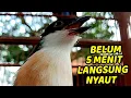 Download Lagu MASTERAN CENDET 1 JAM TANPA IKLAN | MASTERAN CENDET GACOR FULL ISIAN COCOK BUAT MASTERAN PENTET MUDA