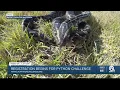 Registration begins for Florida s 2023 Python Challenge