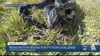 Registration begins for Florida s 2023 Python Challenge