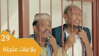 مسلسل عائلة مؤسسة الجزء الثاني الحلقة 29 بلاغات عاجلة 