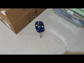 CircuitPython Robot Demo - Adafruit Metro M0 Express