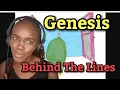 Download Lagu Genesis - Behind the Lines | REACTION