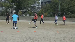                  دندنها