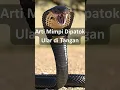 Download Lagu Arti Mimpi Dipatok Ular di Tangan