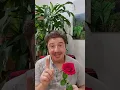Download Lagu The Secret to Our Rose Truffles!
